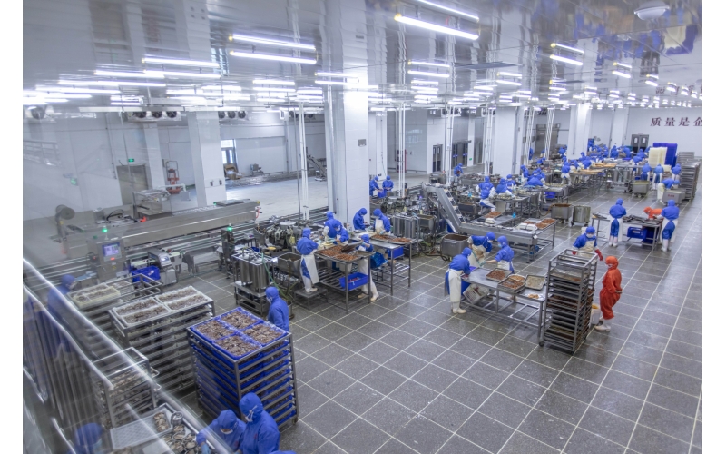 食品加工厂全自动灌装线提升良率